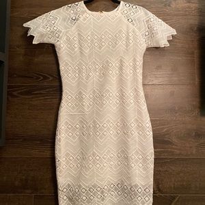 Fitted White Net (Zipper) Knee-Length Dress
